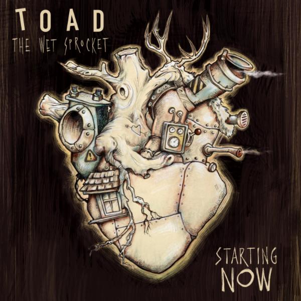 Toad the Wet Sprocket